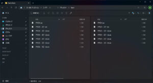 デュアルペイン